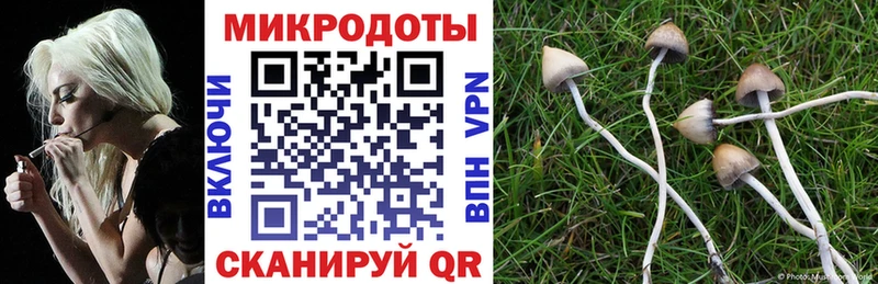 Галлюциногенные грибы ЛСД  купить   Кировград 